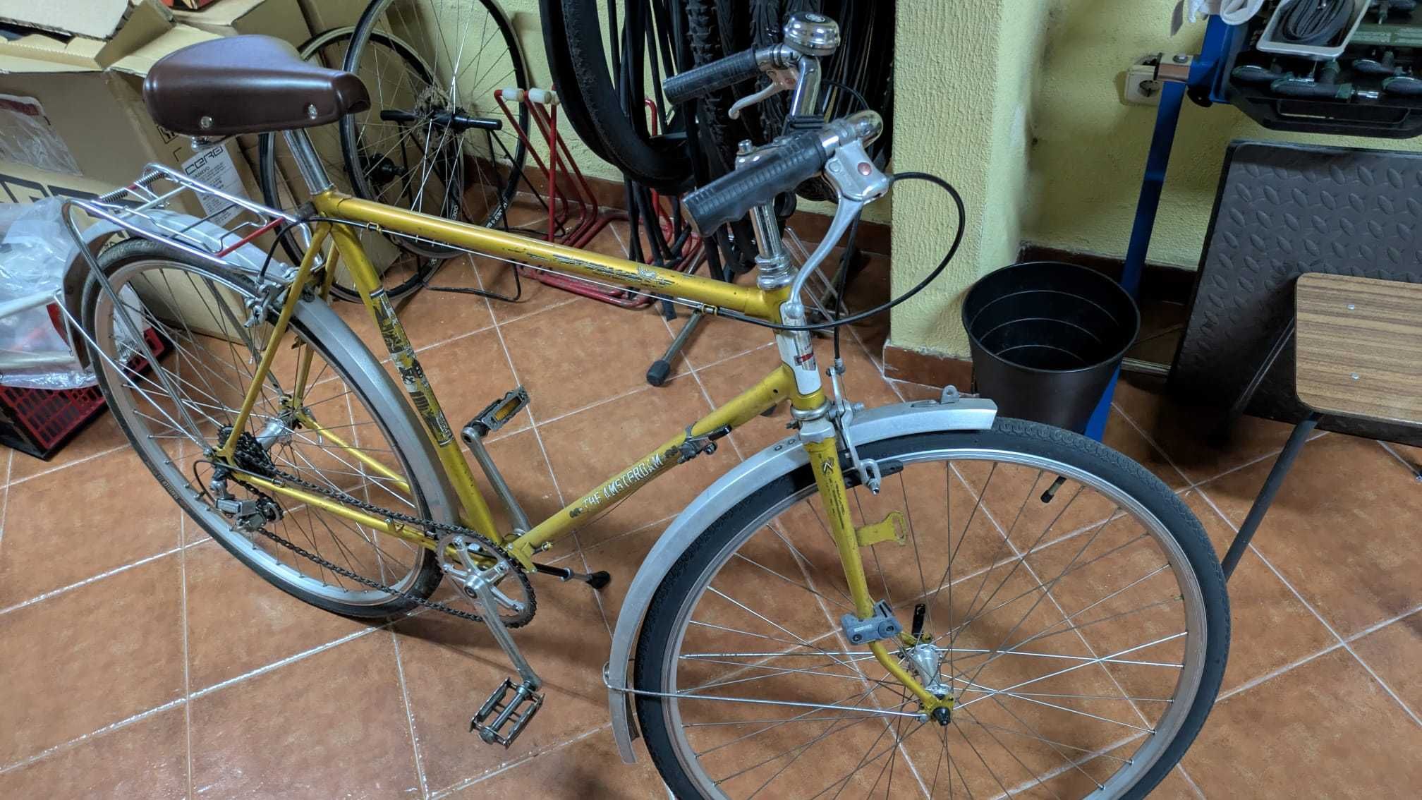 Bicicleta Pasteleira Holandesa 6x1 speed