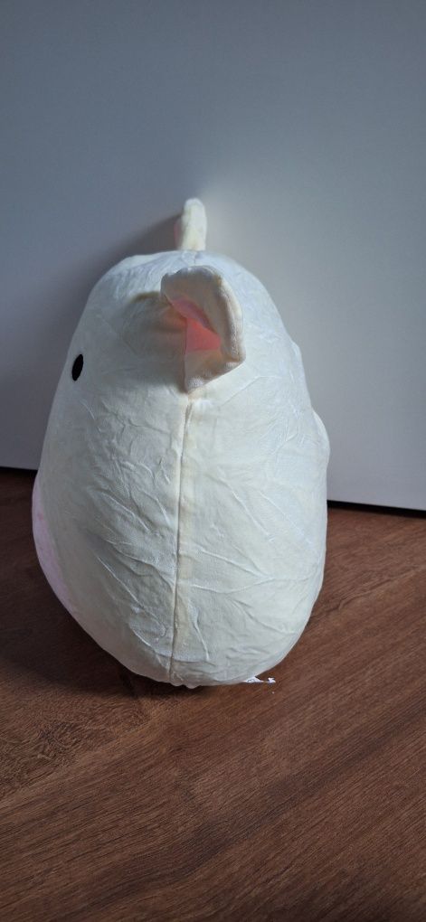 Squishmallows piesek duży pluszak 30 cm maskotka