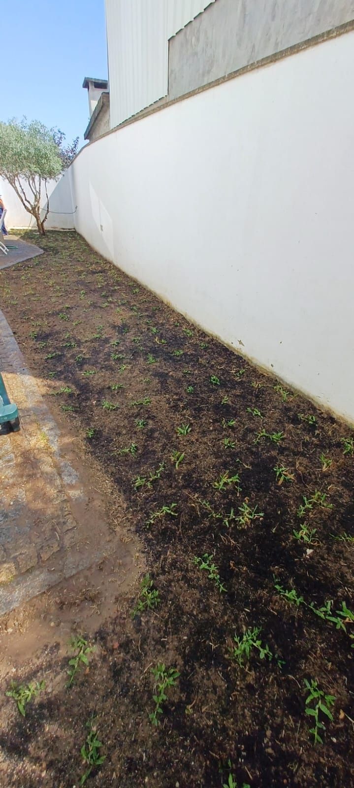 Serviços jardinagem