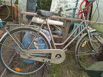 Rower damski holenderski