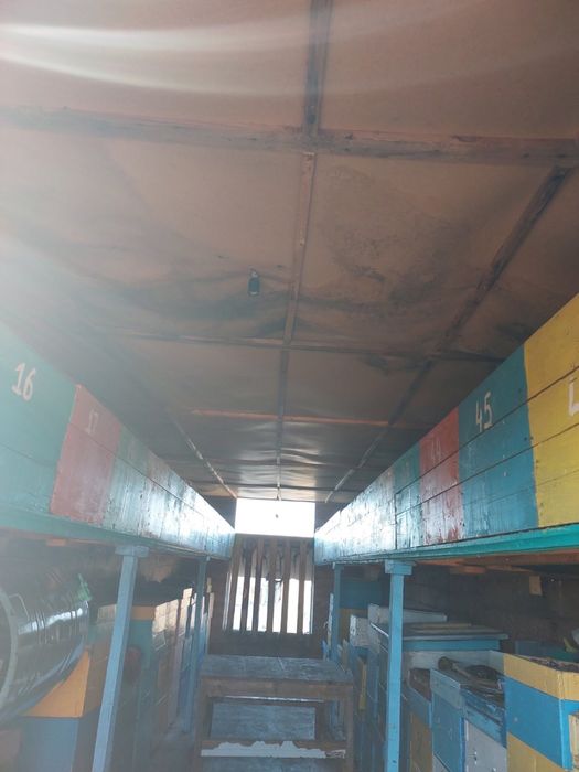 Продам пасіку кочеву