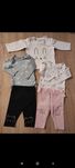 Zestaw kotki body legginsy bluzka Reserved 5.10.15 Fox&bunny