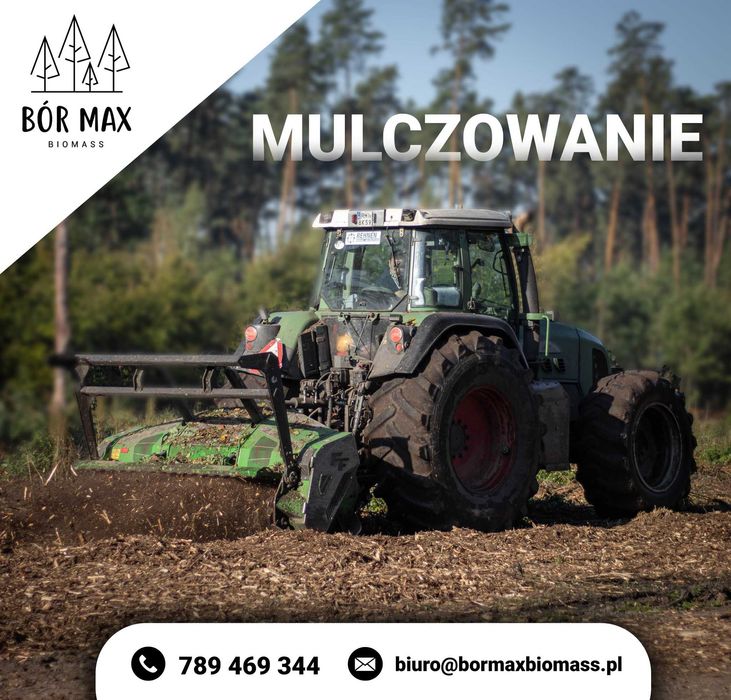 Wycinka drzew, zrębkowanie, wycinka samosiejek, mulczowanie