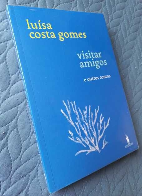Visitar Amigos e Outros Contos - Luísa Costa Gomes