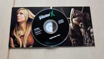 corel painter X - program do malowania i rysowania