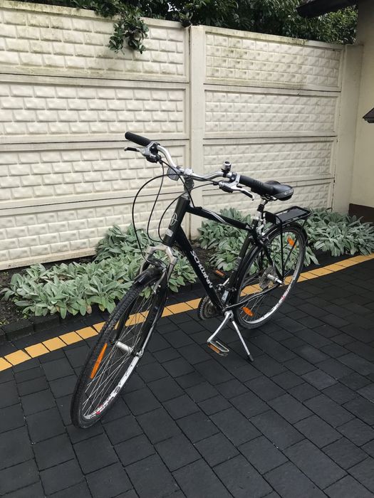 Rower Schwinn World S