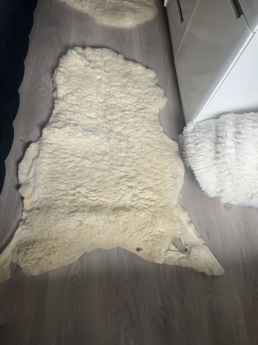 Skóry owcze wyprawione