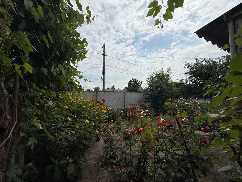 Продам дом ул. Сурская 71 (Новоалександровка)