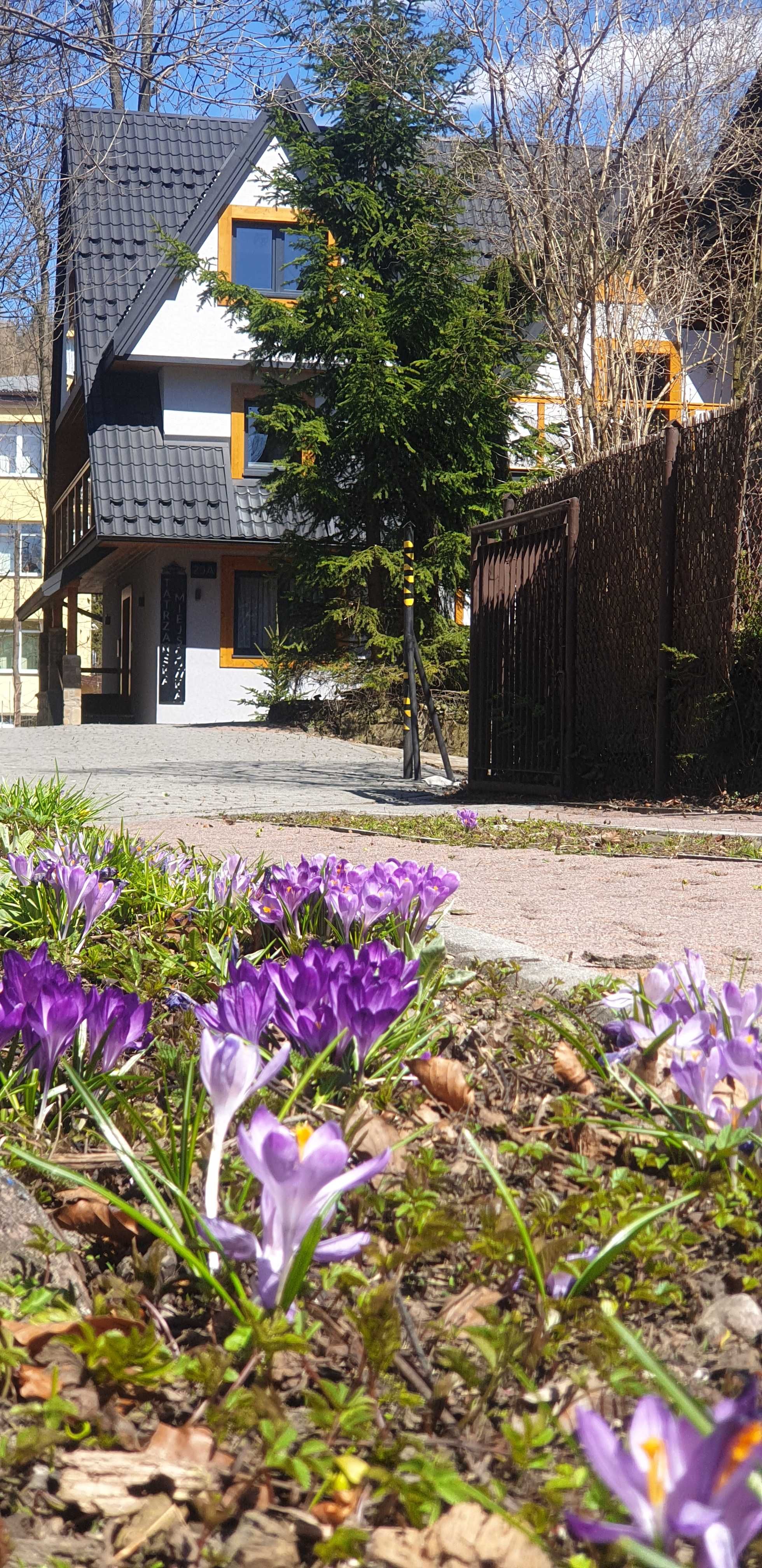 Zakopane Ścisłe Centrum - Apartamenty Tatrzańska Miejscówka