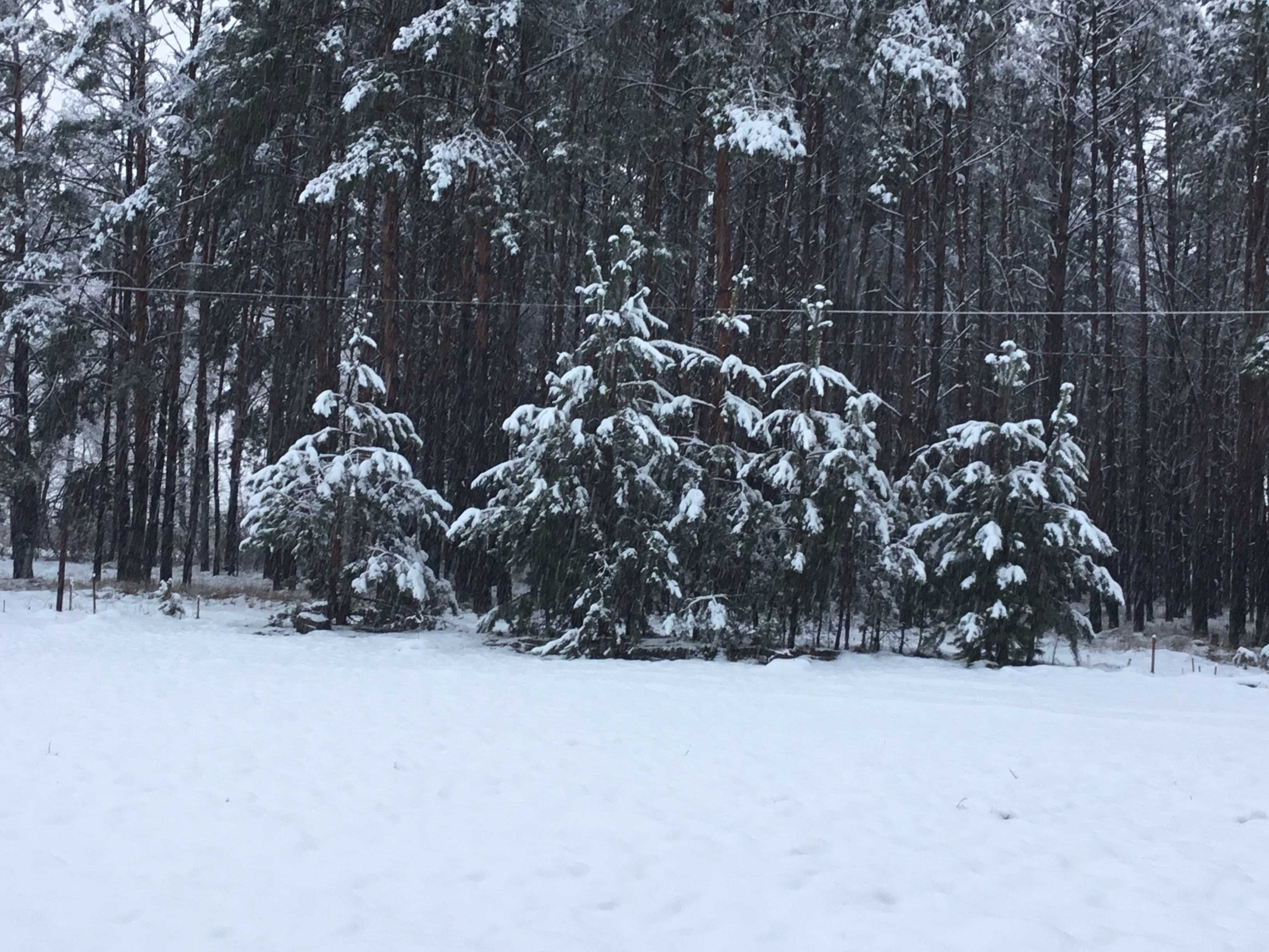 Ділянка Вища Дубечня 7 соток