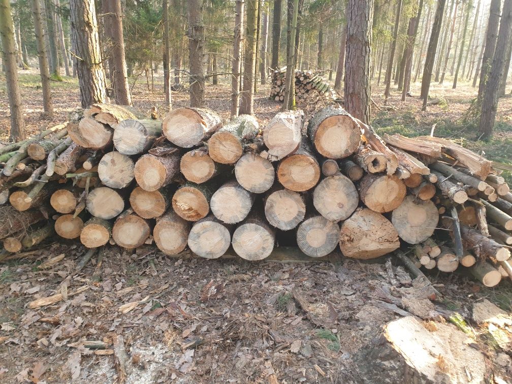 Sprzedam drewno na opał