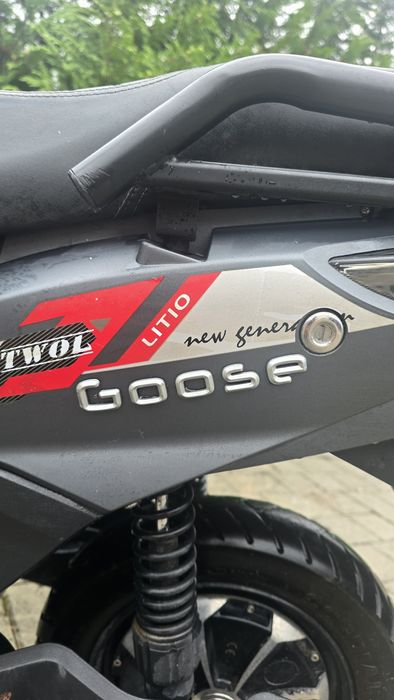 Mota elétrica Goose