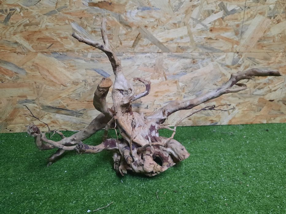 Korzeń do akwarium Red Moore Wood nr 871 o wymiarach 52/22/34