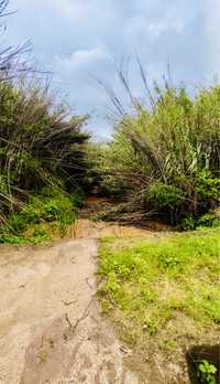 Farm 2 hectares a lot of water