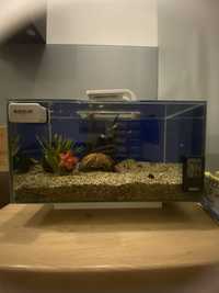 Akwarium Fluval Edge 23 litry