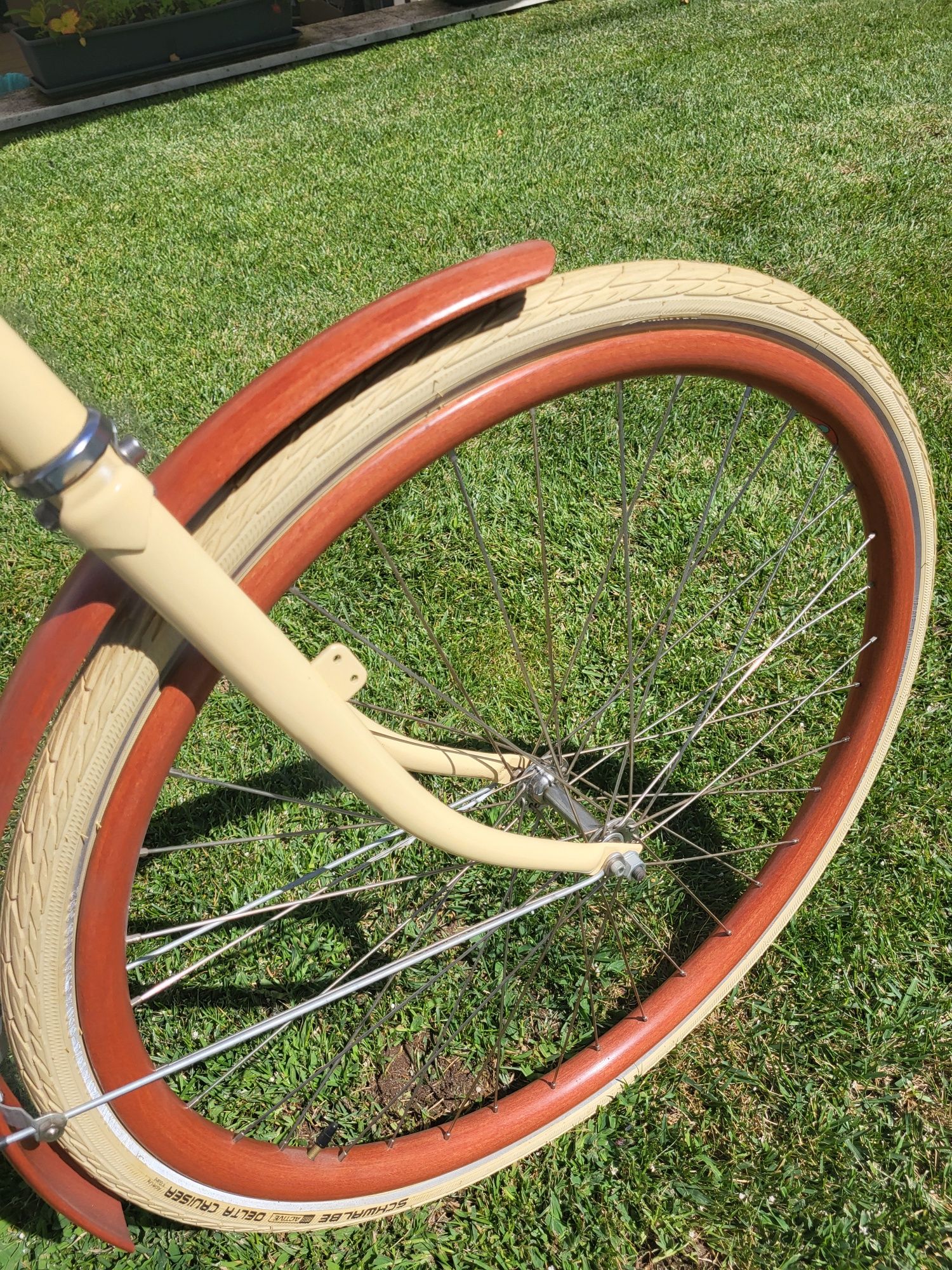 Bicicleta única nova