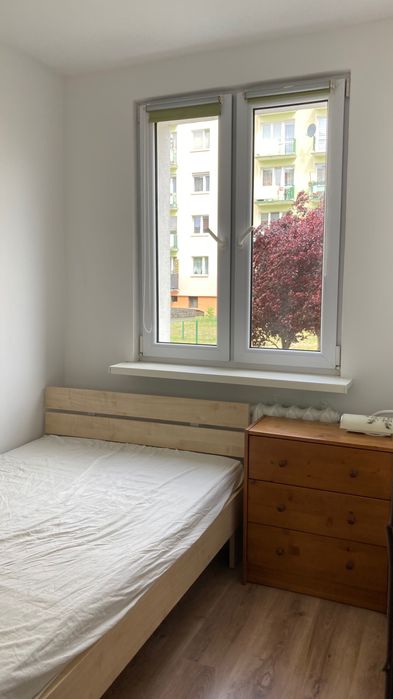 Mieszkanie na wynajem 3 pokoje parter Włocławska