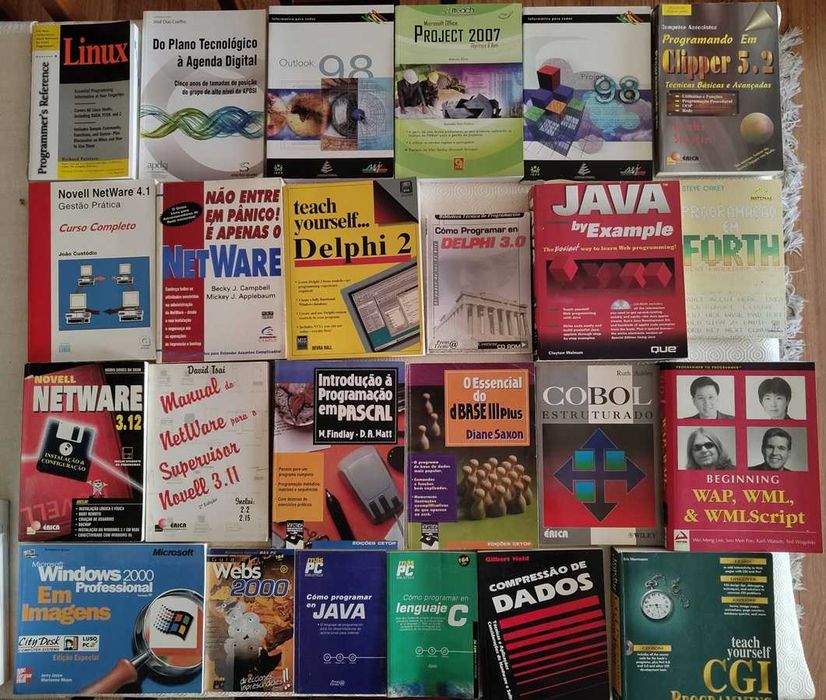 Lote de livros de Informática