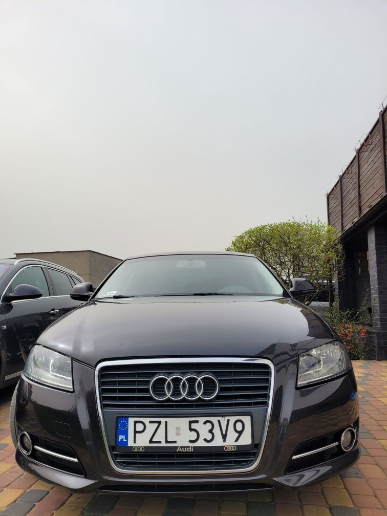 Grill Audi A3 8P 08 12 LIFT