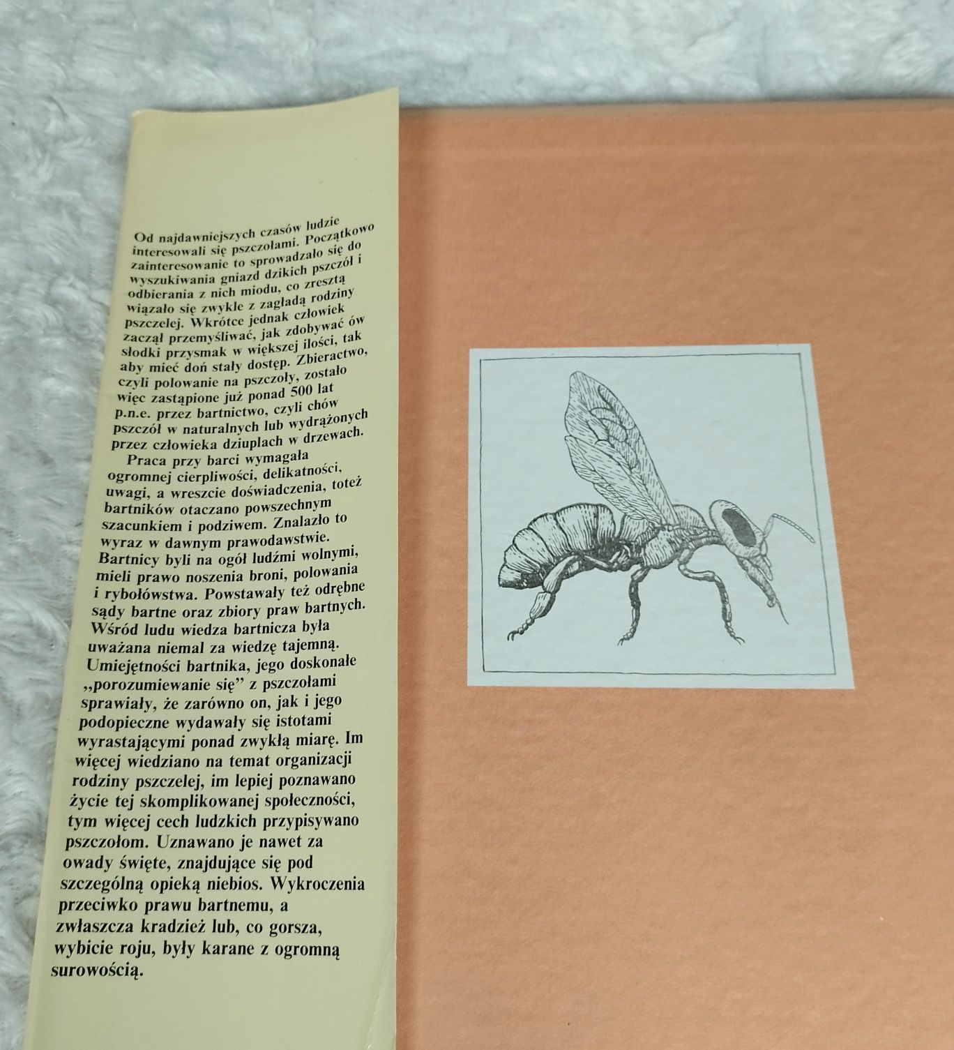 Encyklopedia pszczelarska