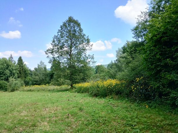 Działka Krzywe pomiędzy Cisna a Wetlina Bieszczady