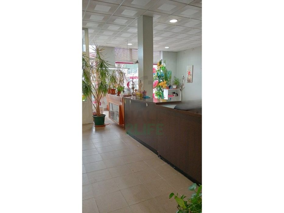 Loja Para Investimento Com 136M2 - Gândara Dos Olivais, Leiria