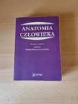 Anatomia Człowieka Pituchowej