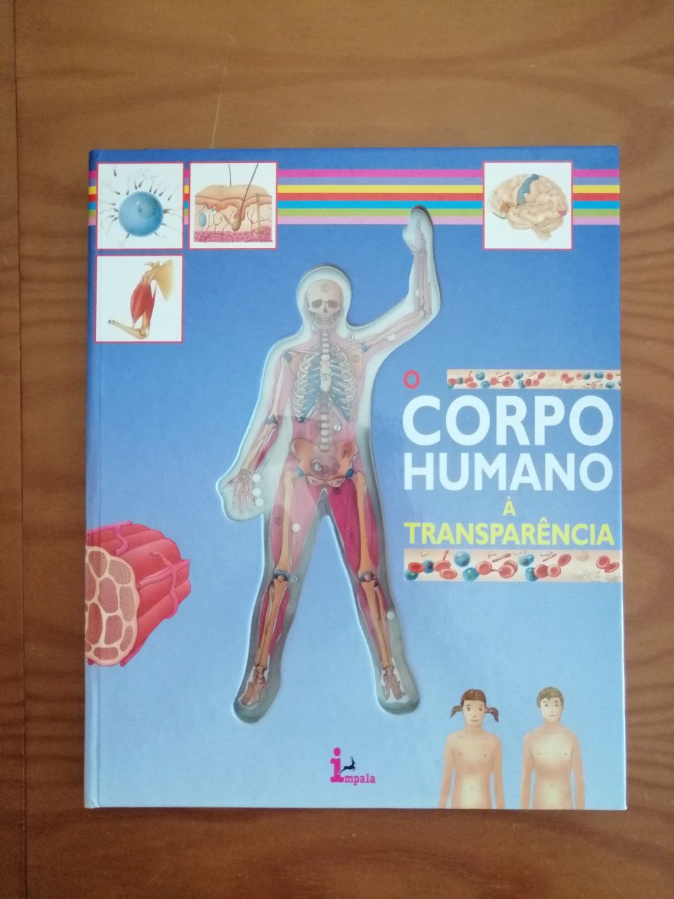 Livro "O corpo humano à transparência"