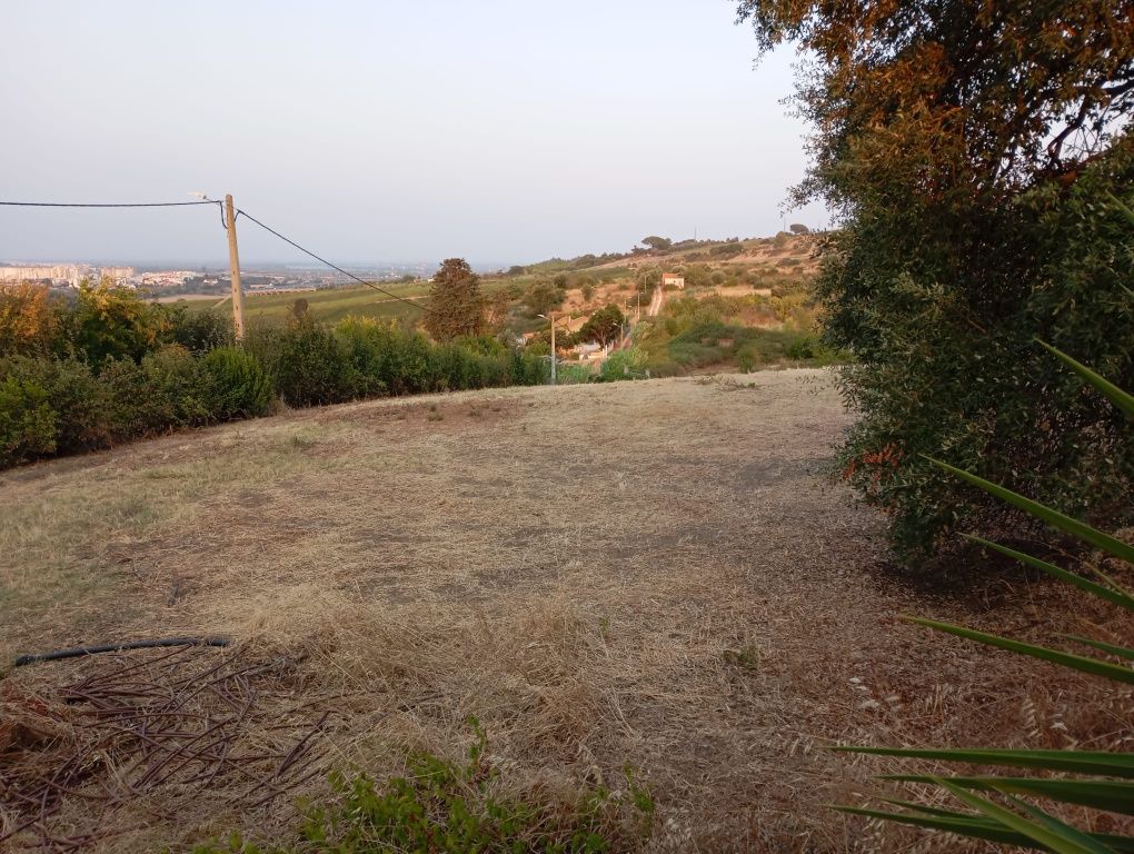 Arrendamento de terreno para Pasto- 5000 m2