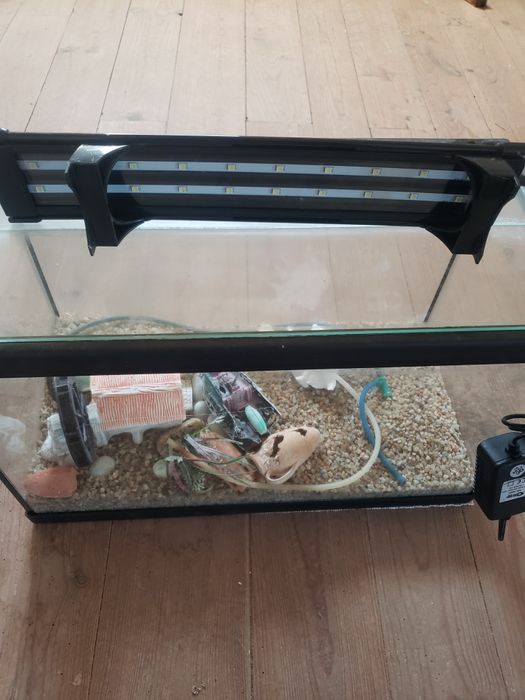 Aquario, Aquecedor Submersível ,iluminaçâo, decoração