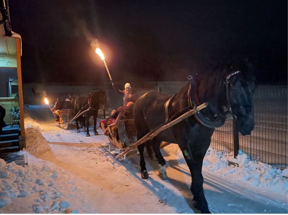 Domki nad jeziorem Czorsztyńskim, Domki w górach na zimę