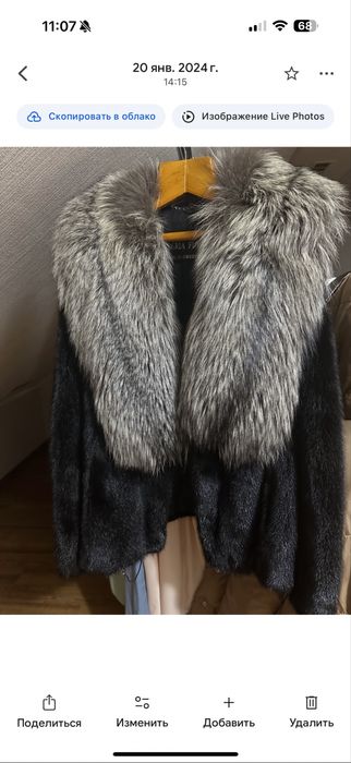 Норка грецька коротка