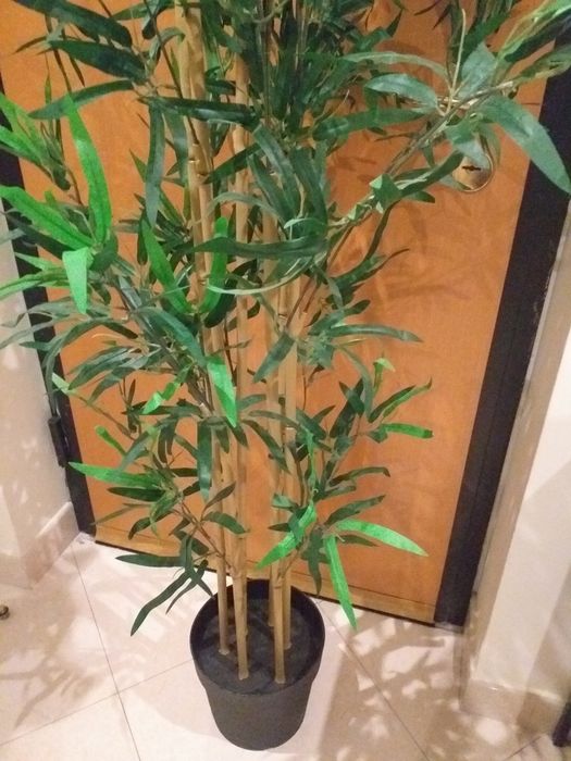 COMO NOVA Planta artificial bambu IKEA 170 altura,valor fixo