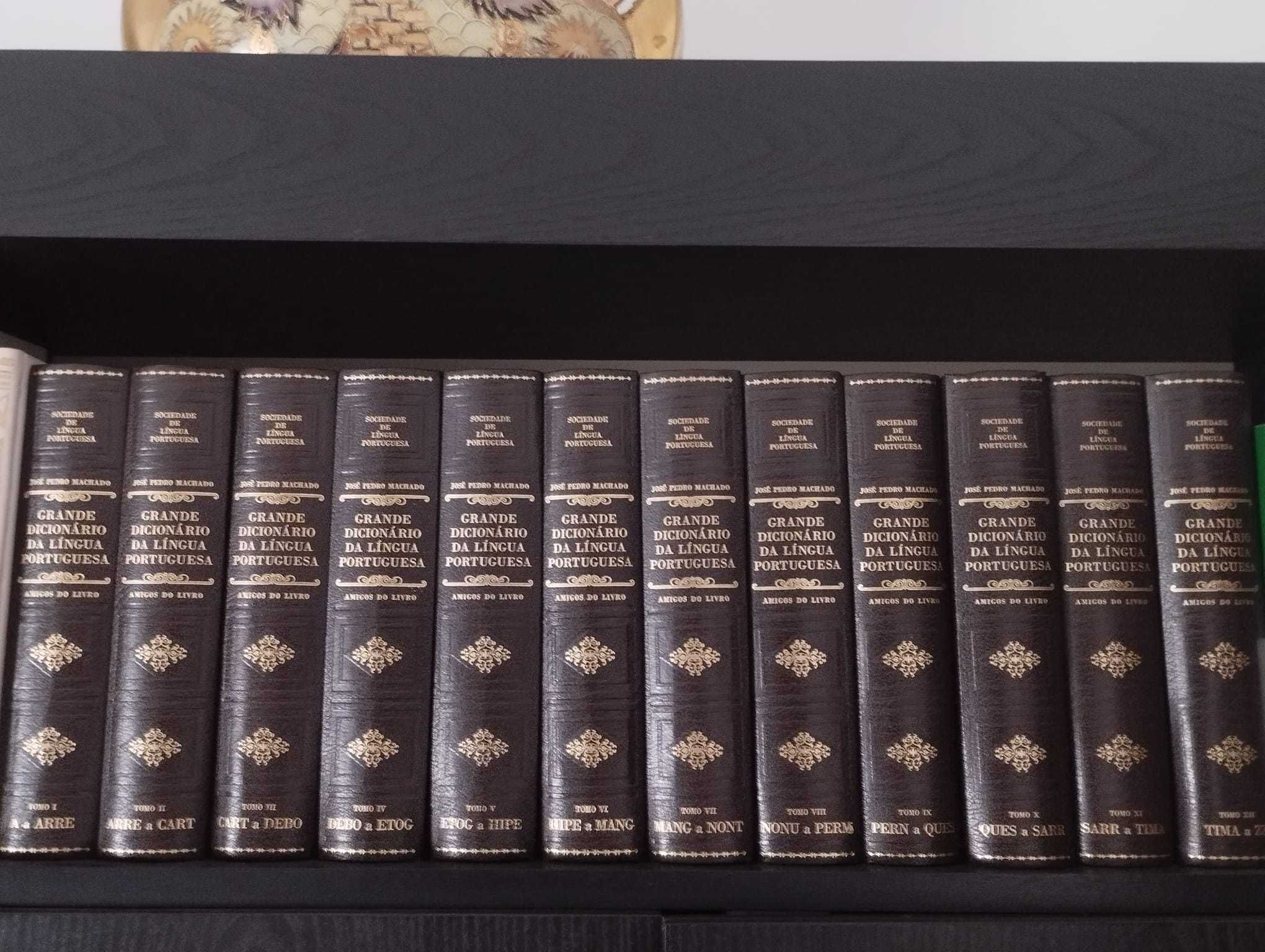 Coleção Grande Dicionário da Língua Portuguesa