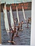 На доске под парусом Хайден Г. книга виндсерфинг