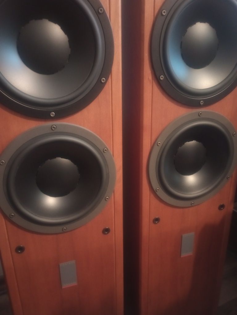 Dynaudio contour 2.8..Unikaty