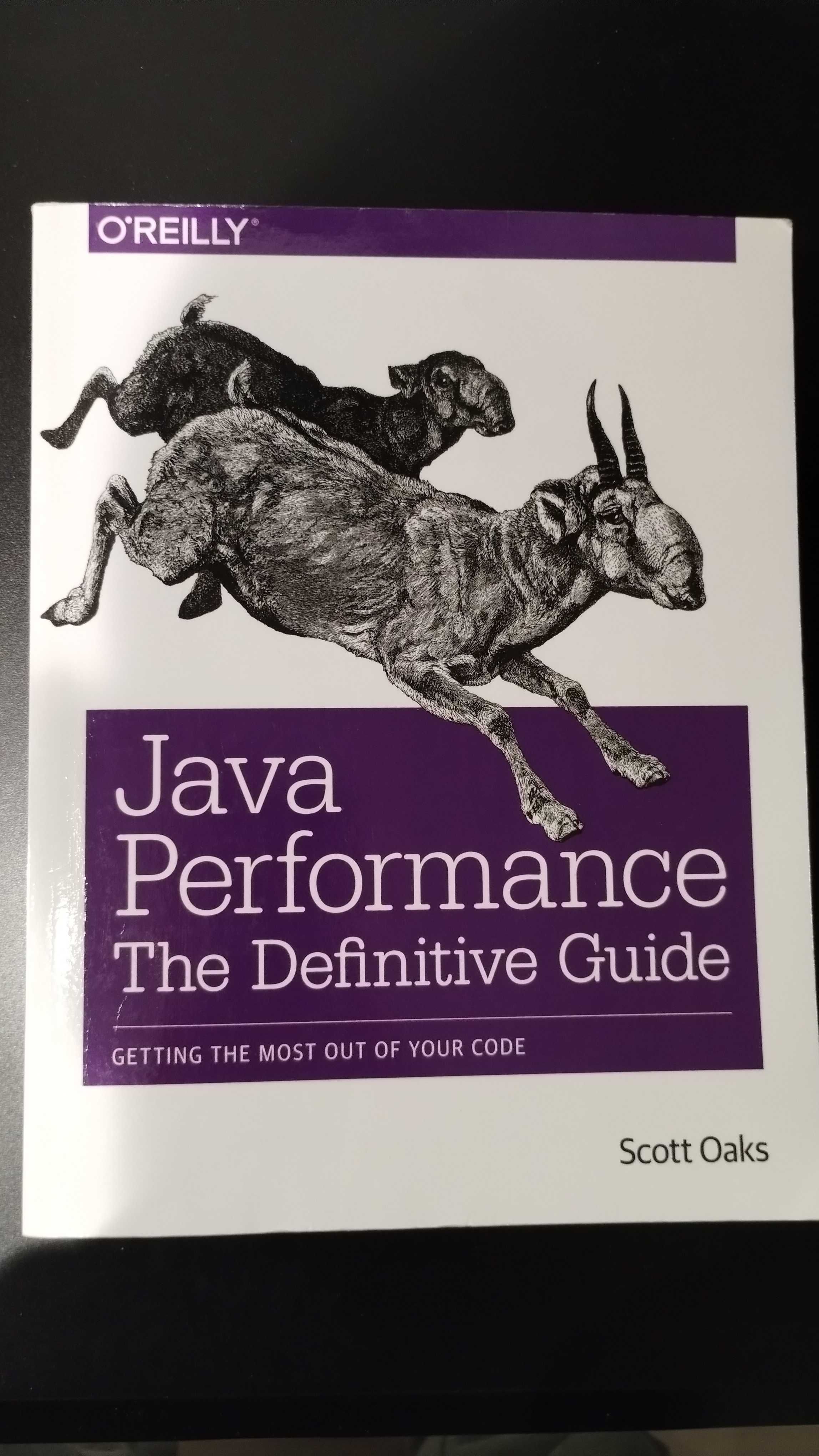 Java Performance: The Definitive Guide