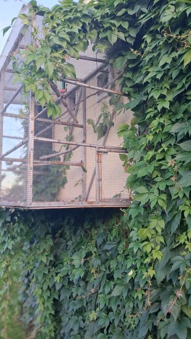 Sprzedam klatkę dla ptaków.