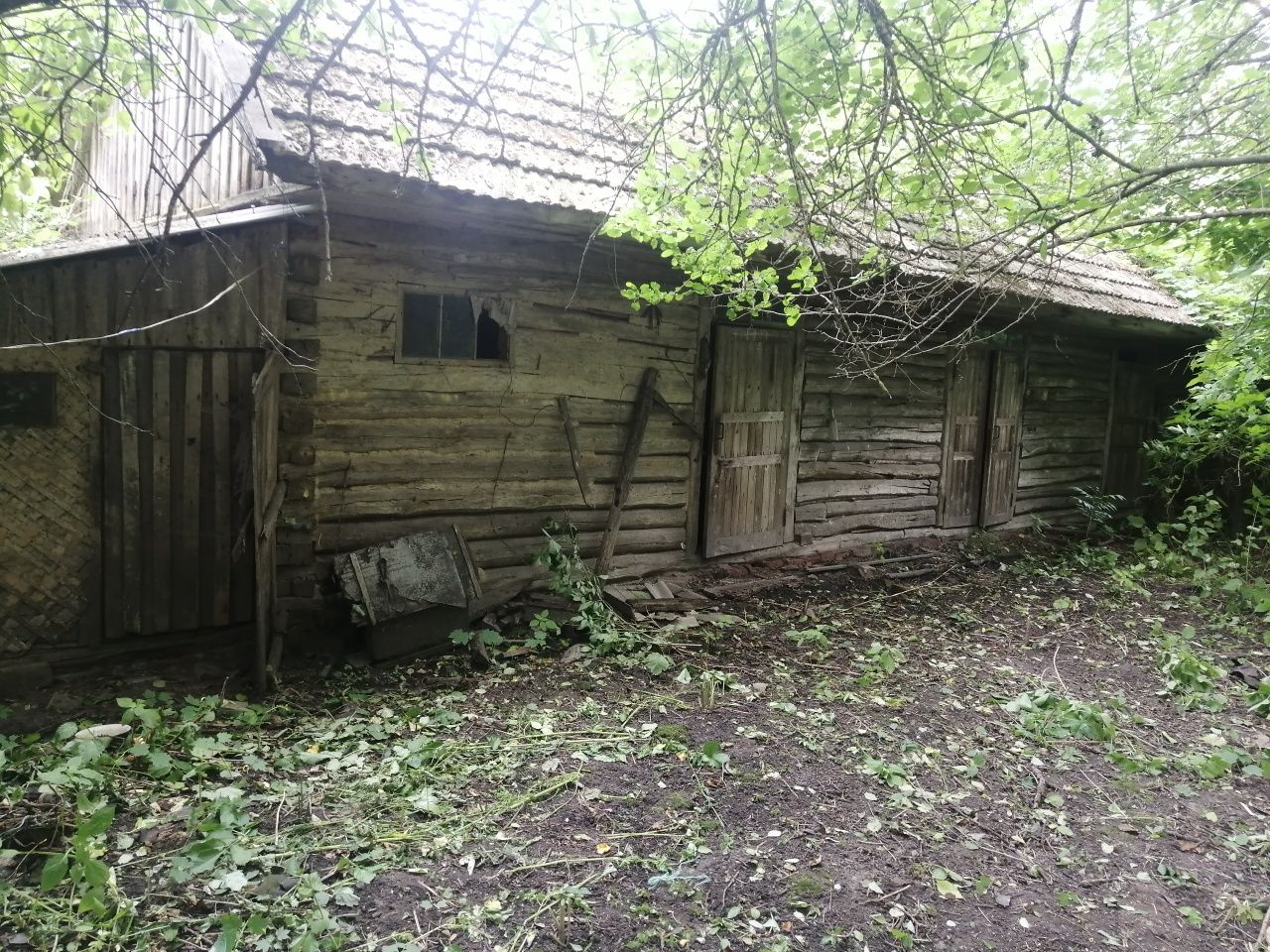Продається будинок в с. Синявка