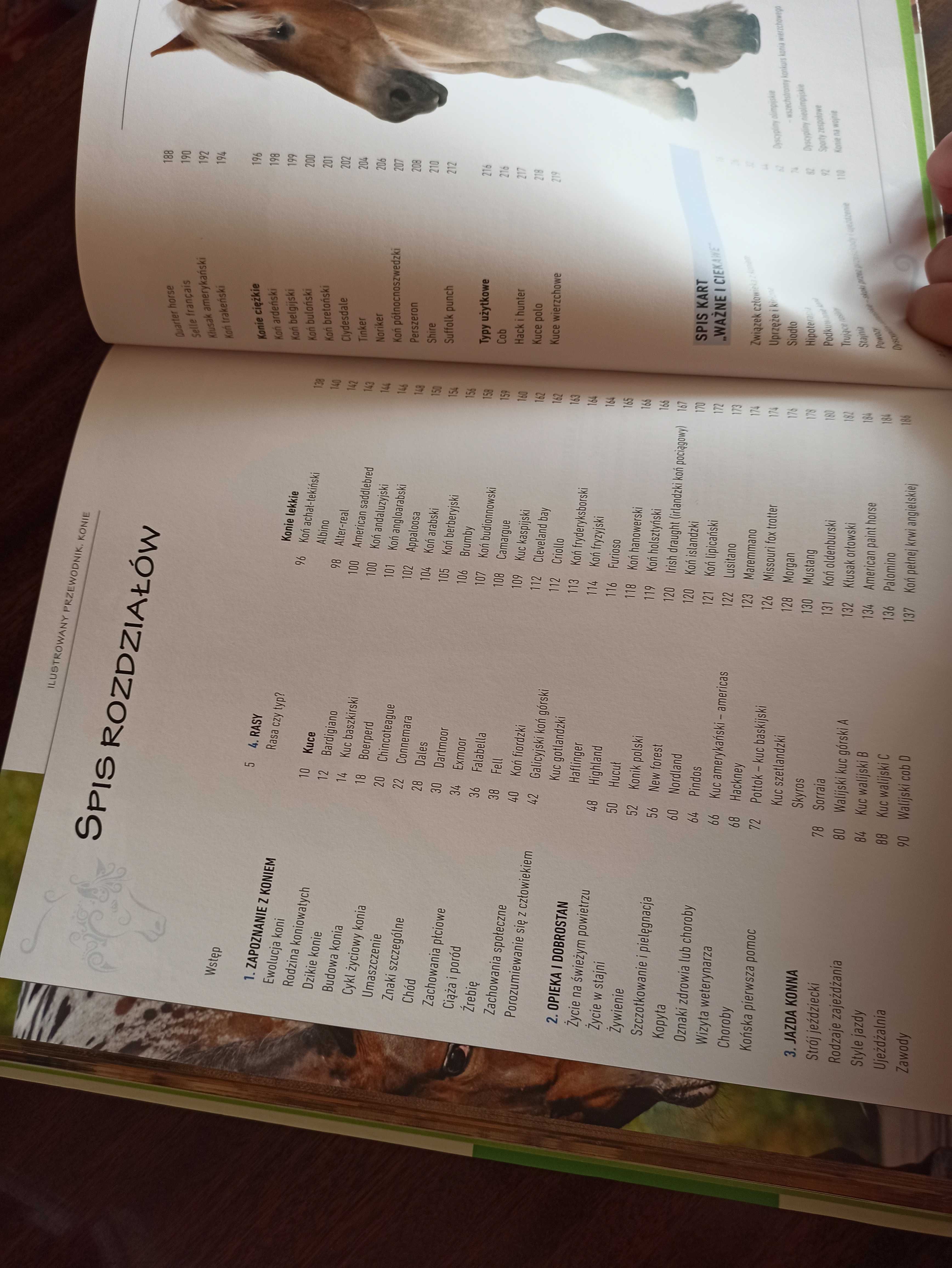 Książka konie ilustrowany przewodnik