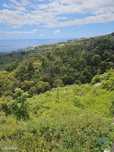 Terreno em Gaula de 3370,00 m2