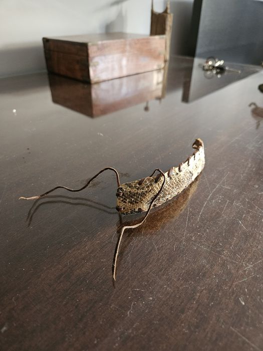 Pulseira de pele de cobra