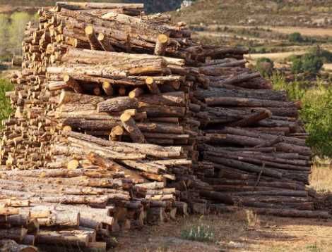 Продам дрова твердых пород для отопления