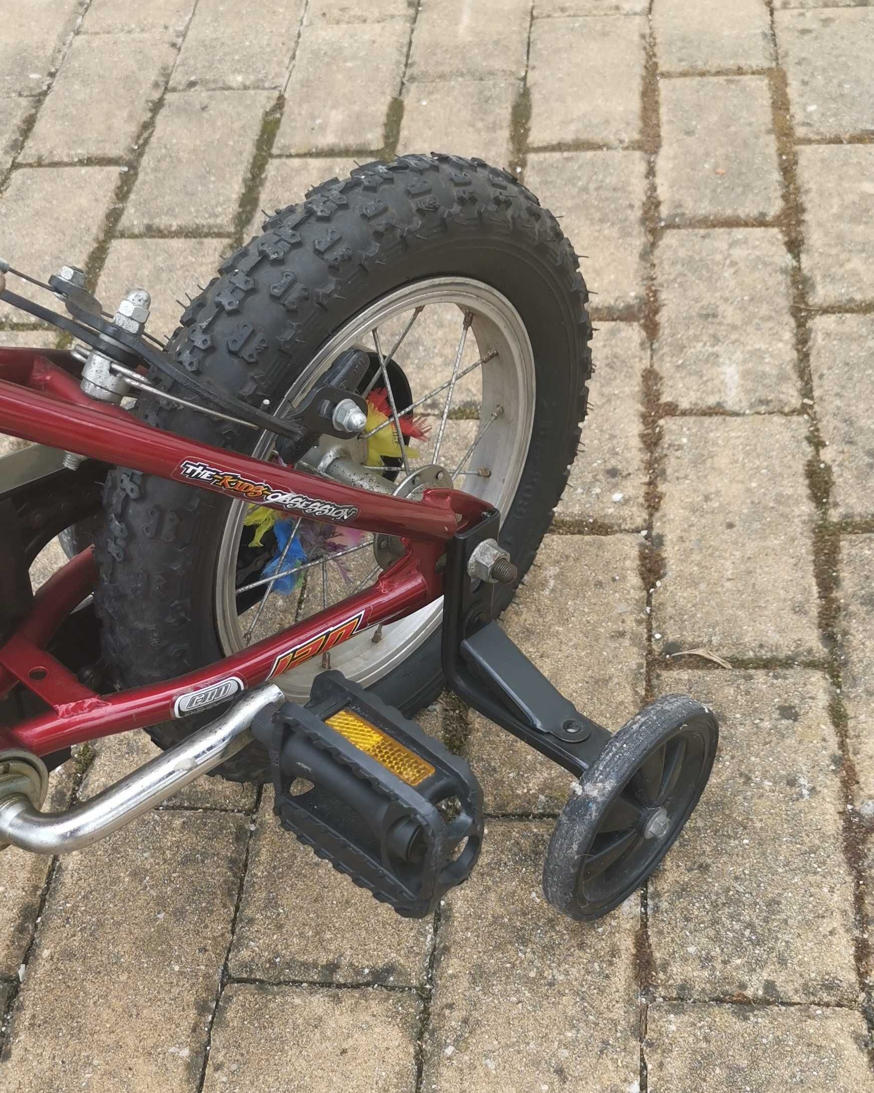 Bicicleta criança roda 10