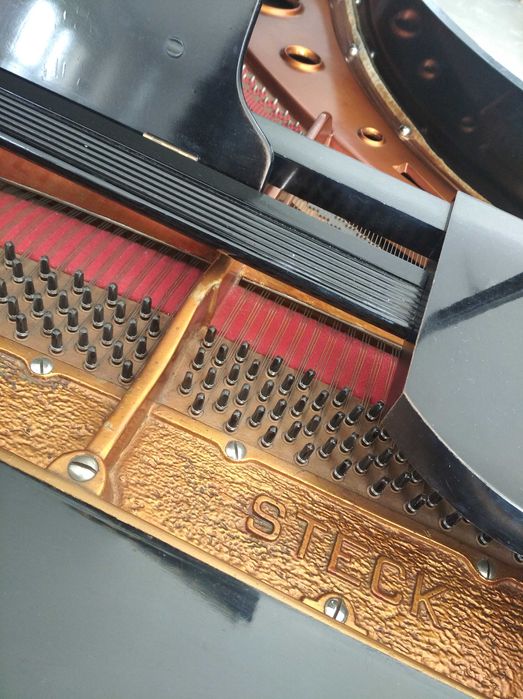 Dla Kolekcjonera Perełka Fortepian bez pianisty i działa pianola