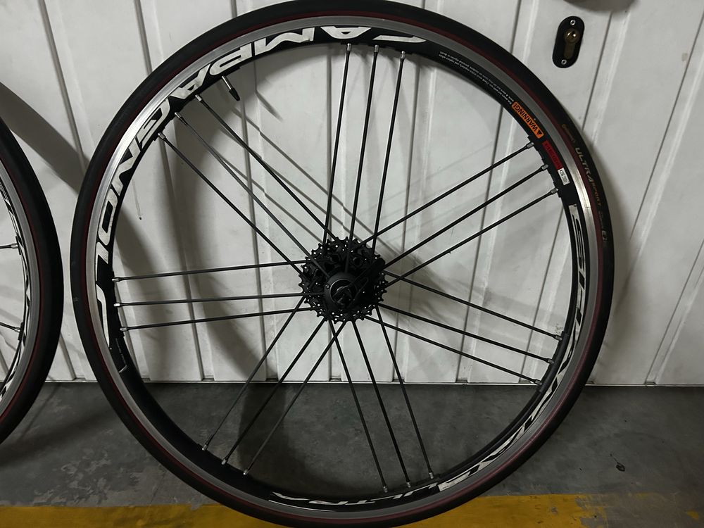 Rodas Campagnolo shamal ultra