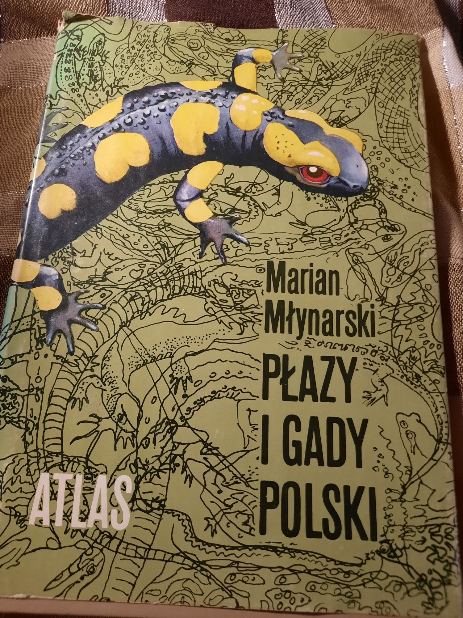 Książka-Atlas-,,Płazy i gady Polski,,