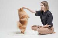 Trener psów / behawiorysta - konsultacje behawioralne, szkolenie psów
