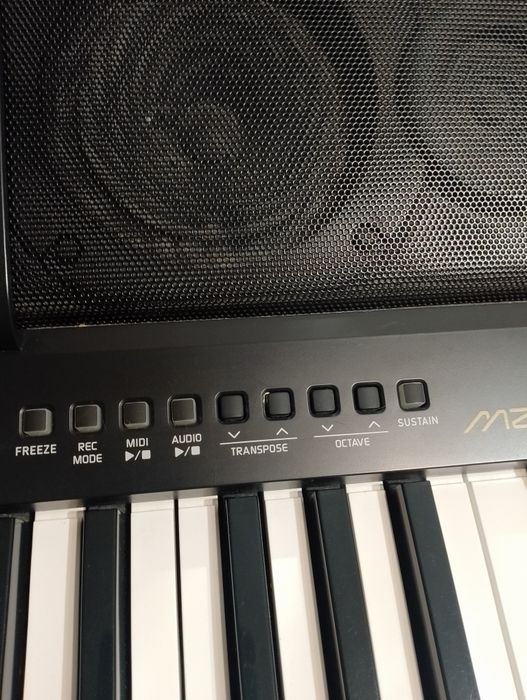 Casio aranger MZ -x 300 Pilnie sprzedam.Cena do uzgodnienia.