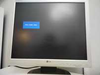 Monitor LG Flatron L19NS